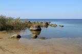 Image of landscape