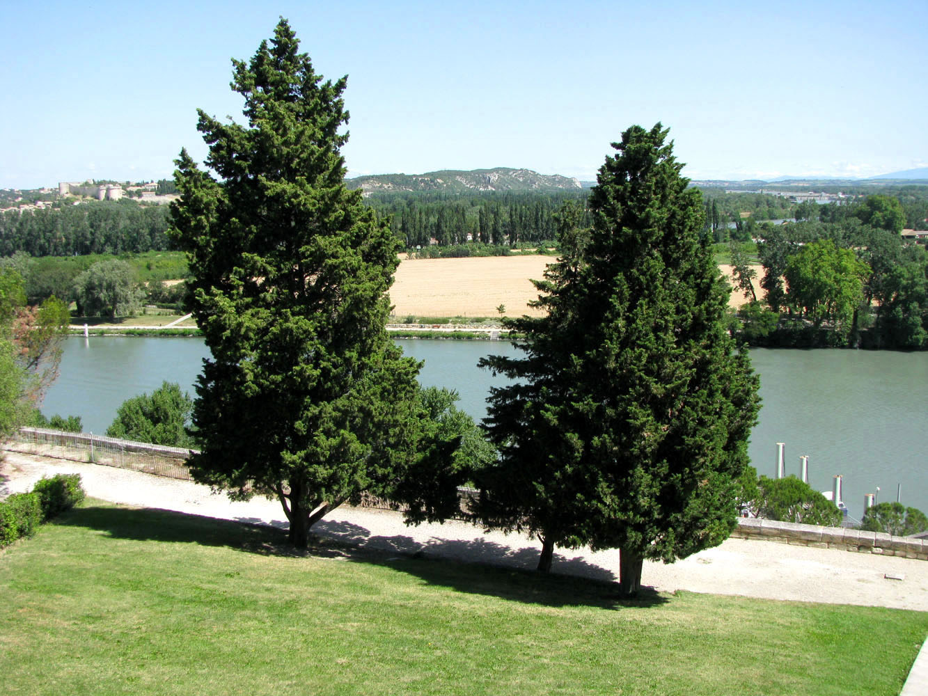 Авиньон, image of landscape/habitat.