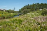 Мурмаши, image of landscape/habitat.