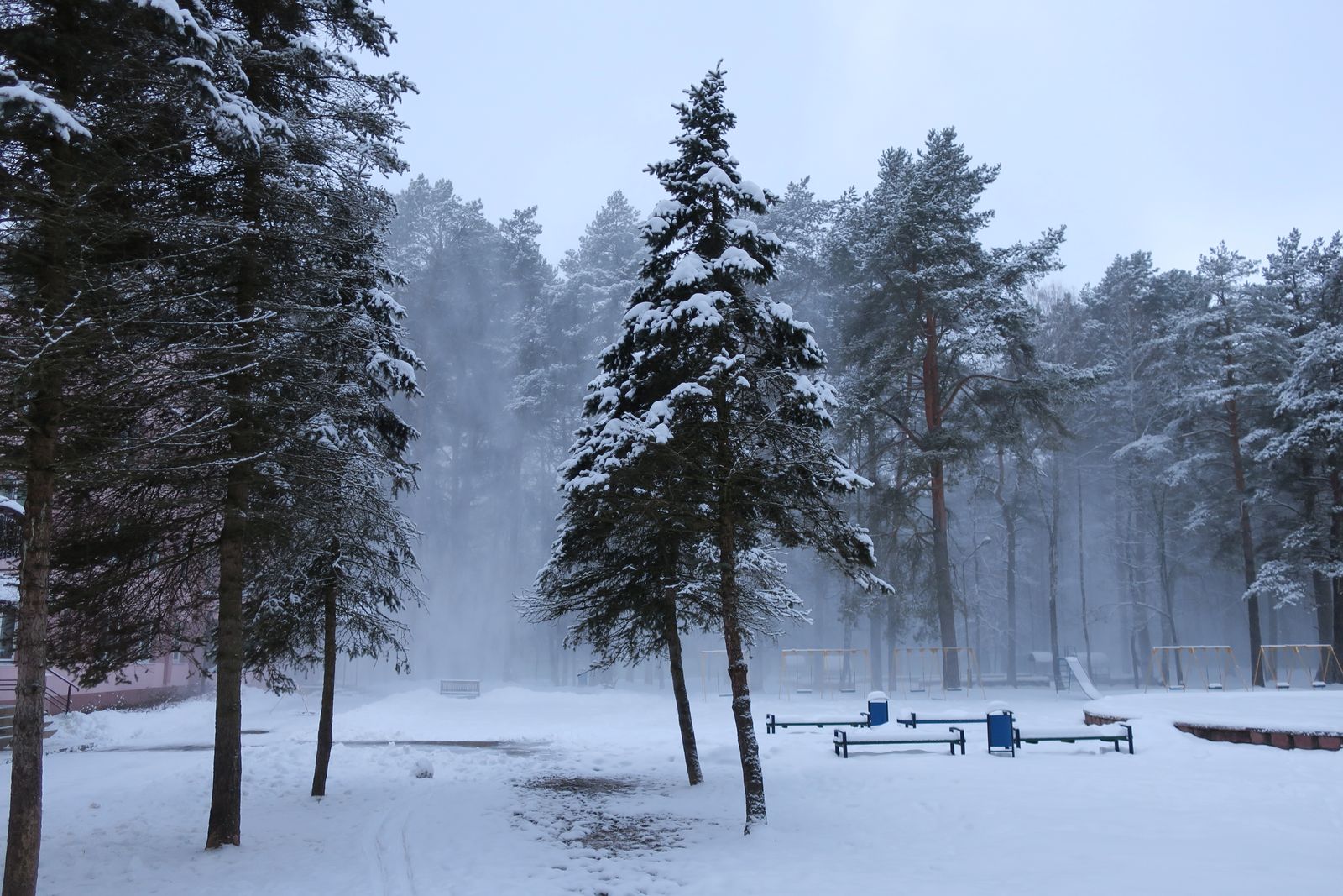 Лесопарк Пышки, image of landscape/habitat.