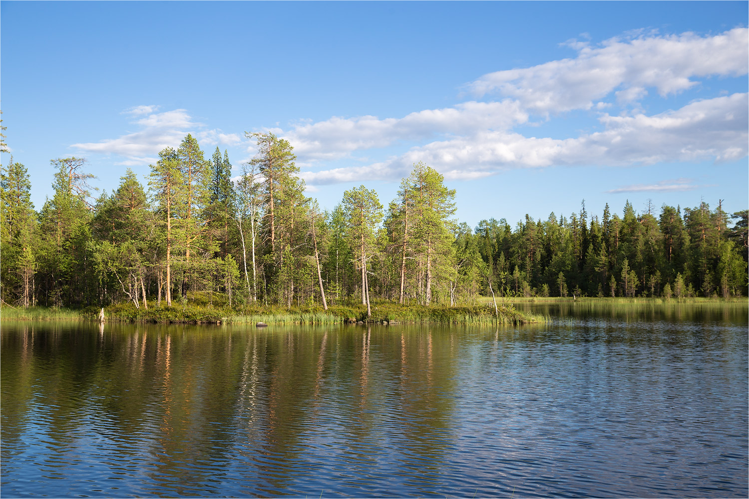 Кукас, image of landscape/habitat.