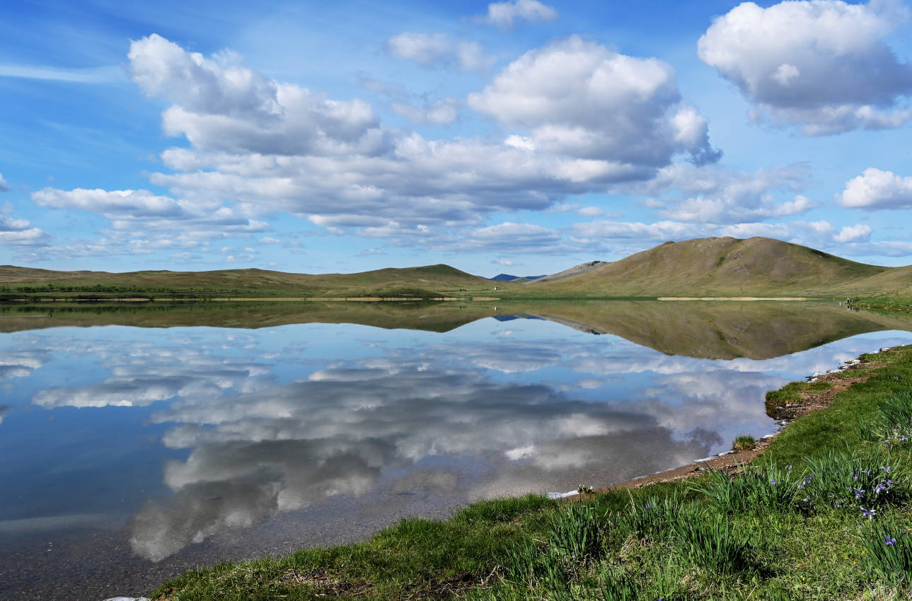 Озеро Власьево, image of landscape/habitat.