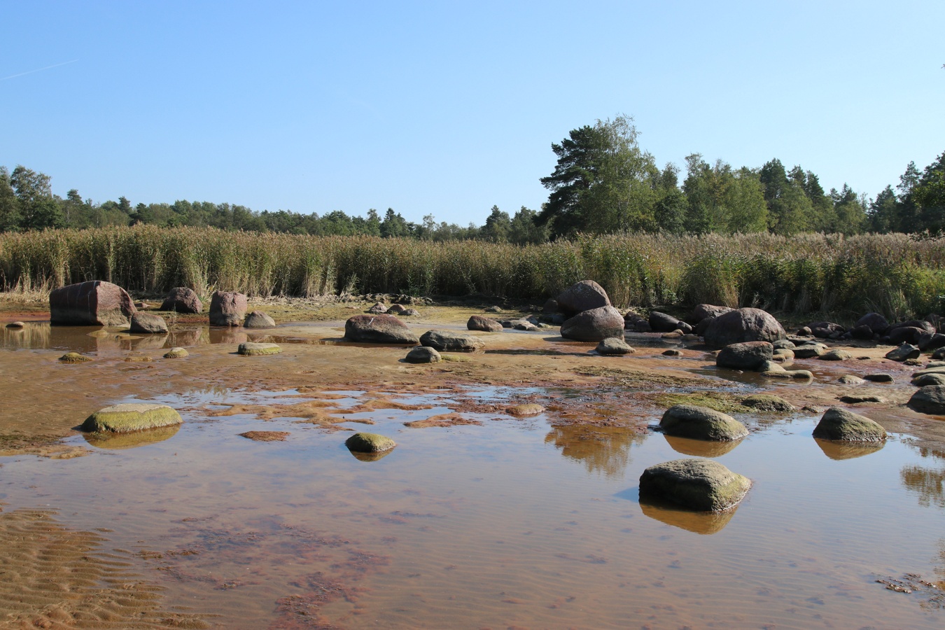 Мыс Дубовский, image of landscape/habitat.