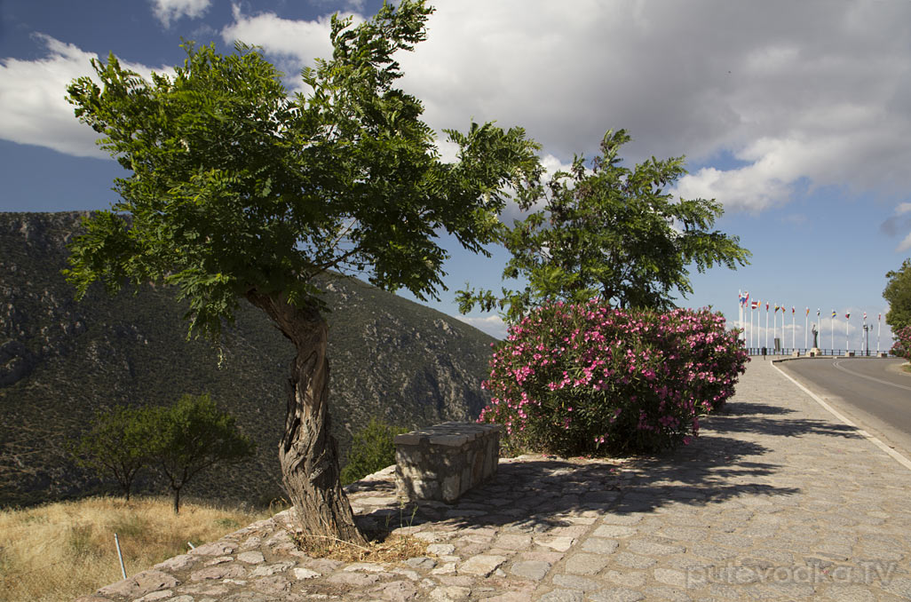 Дельфы, image of landscape/habitat.