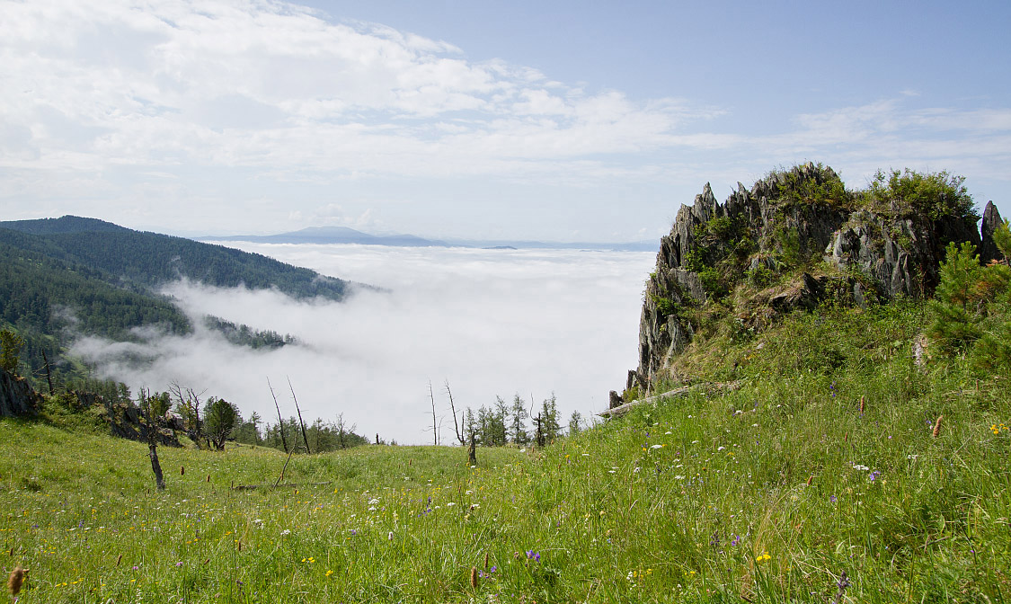 Семинский перевал, image of landscape/habitat.