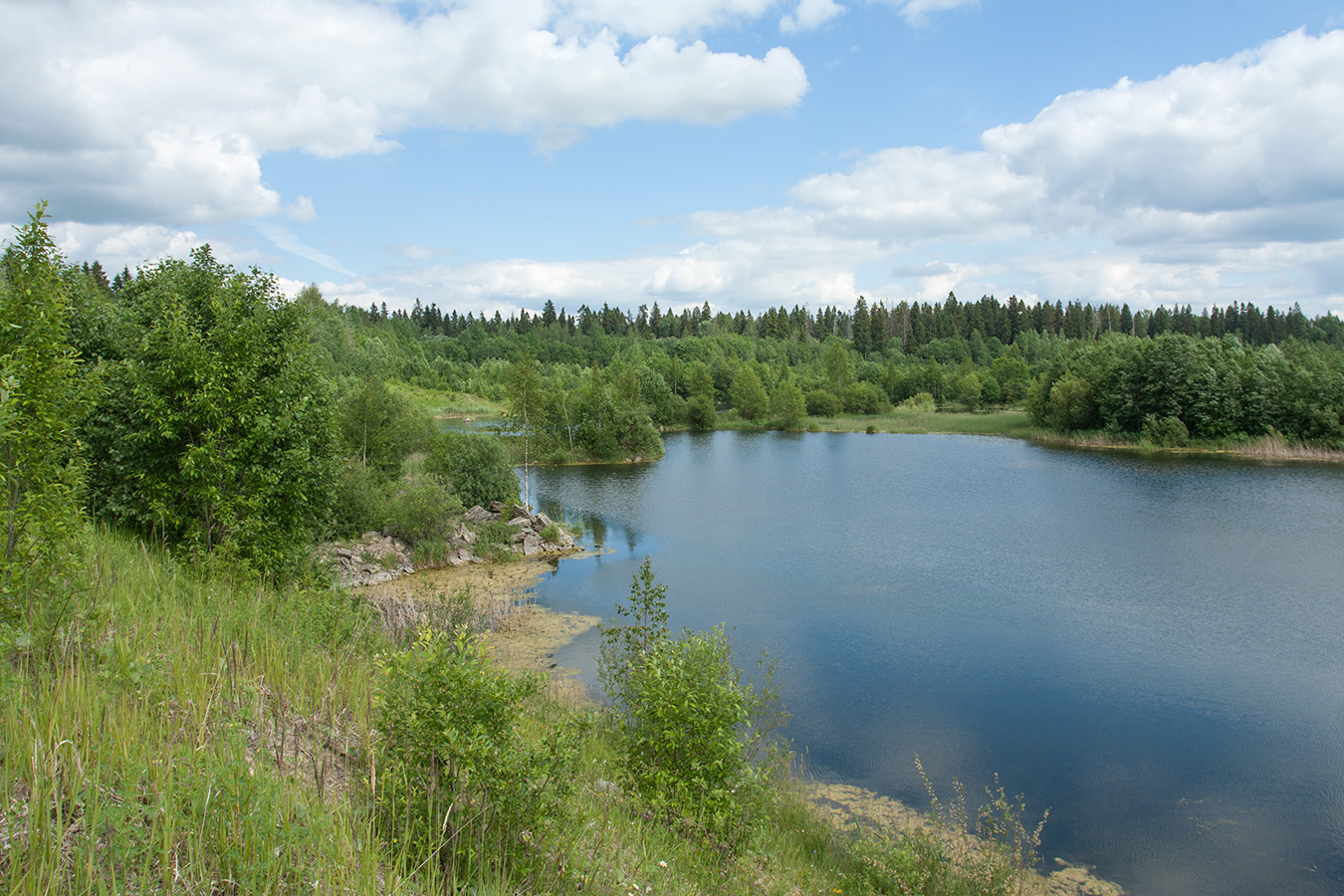 Елизаветинский карьер, image of landscape/habitat.