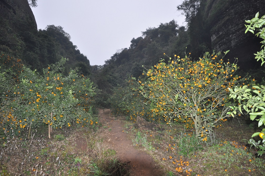 Геопарк "Дансия (Шаогуань)", image of landscape/habitat.