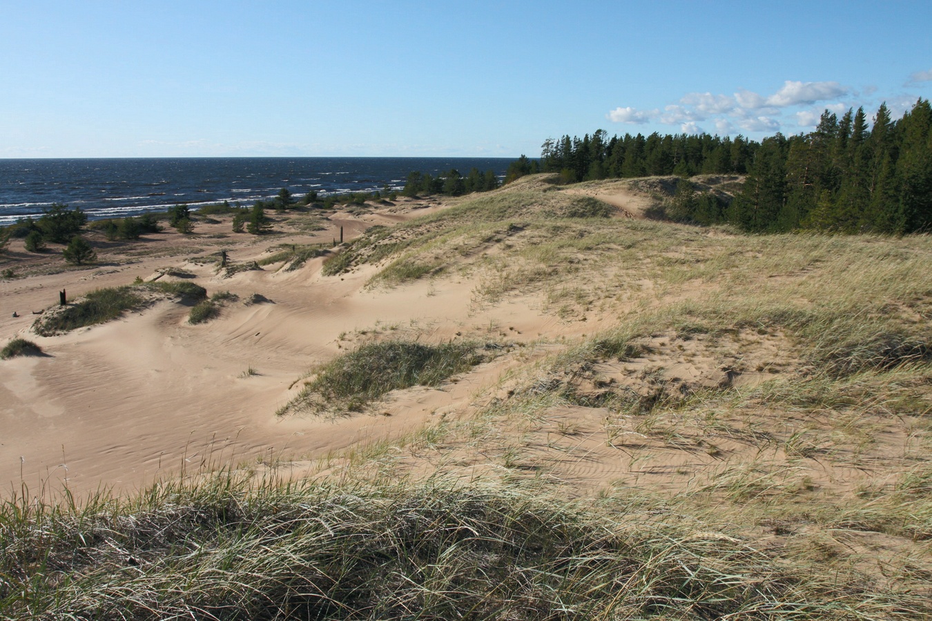 Устье Тулоксы, image of landscape/habitat.