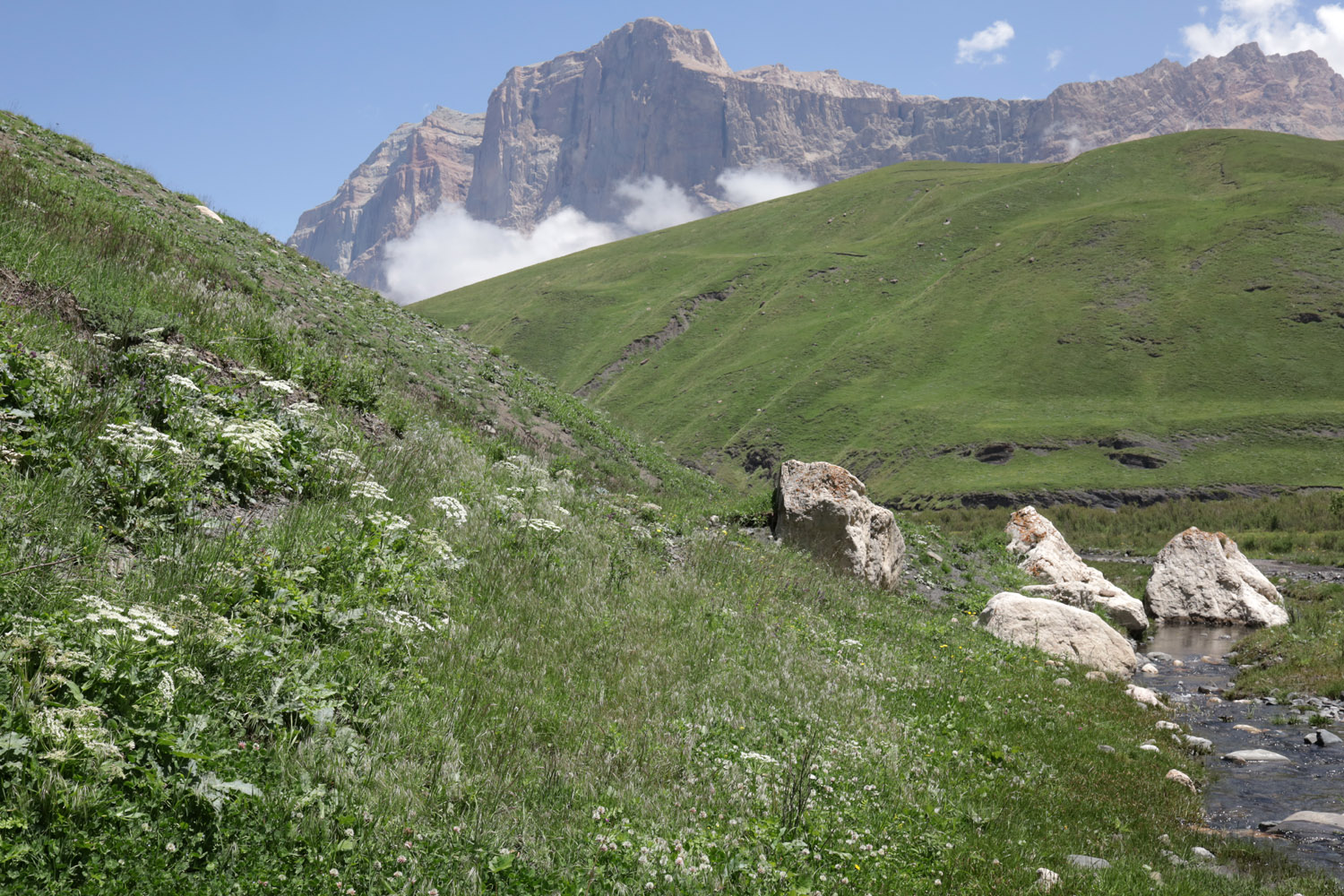 Куруш, image of landscape/habitat.