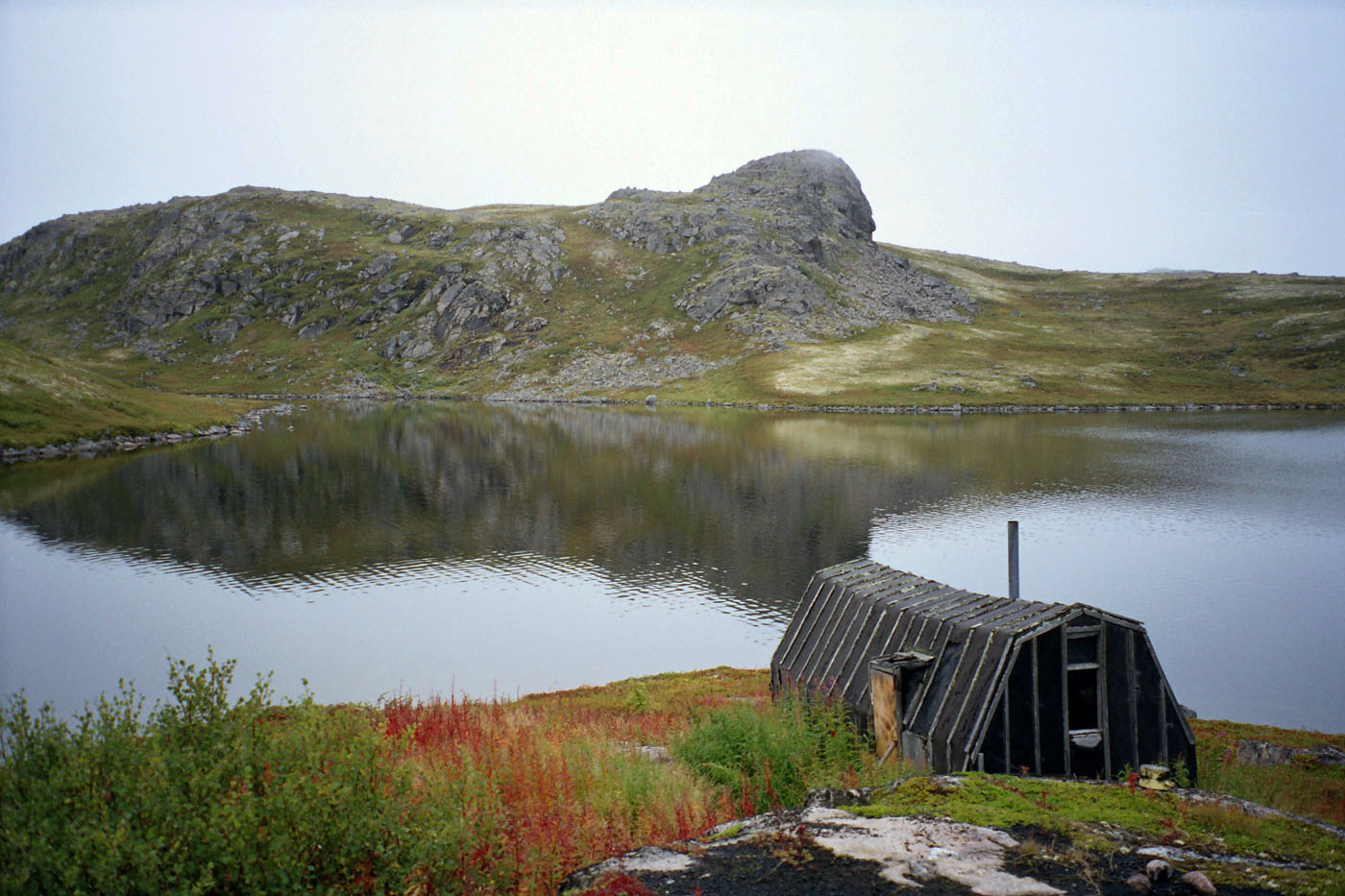 Поздняковское озеро, image of landscape/habitat.