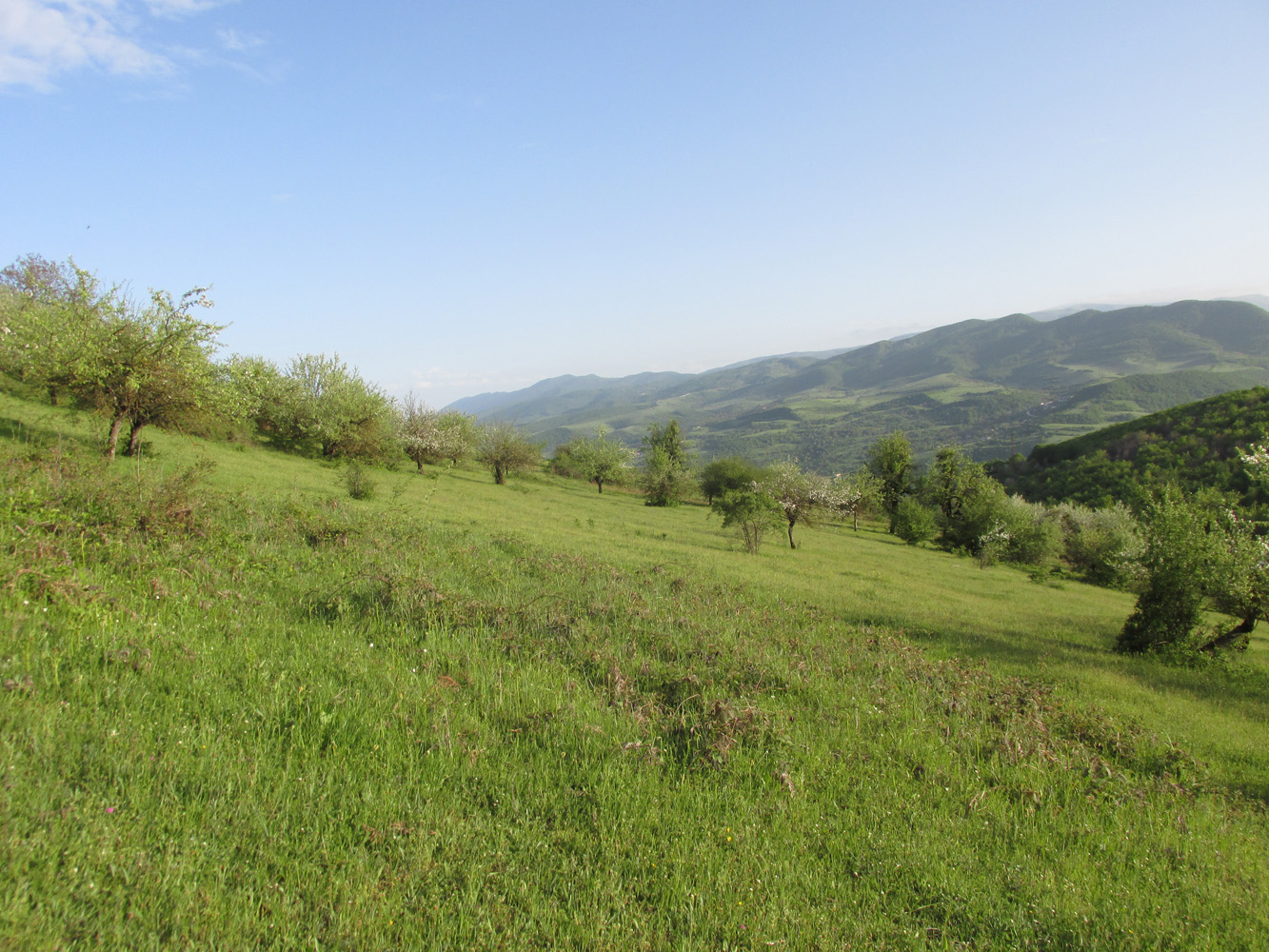Окрестности села Татиль, image of landscape/habitat.