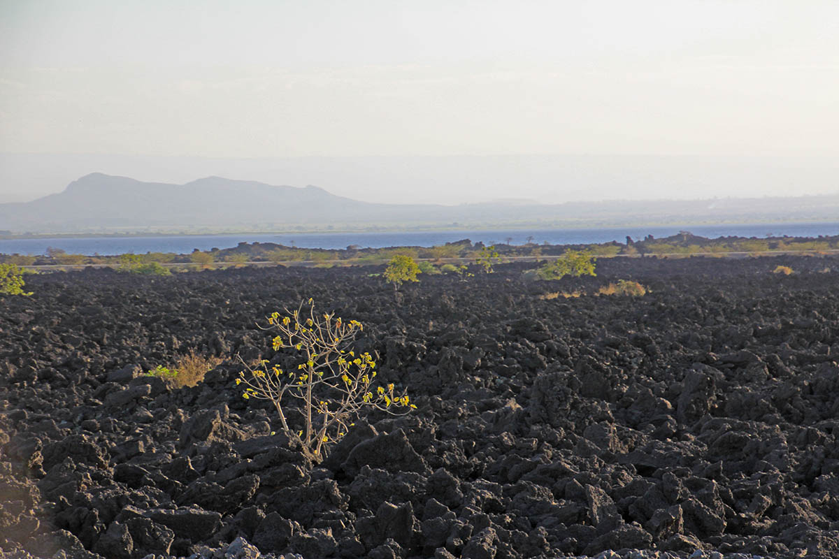 Аваш, image of landscape/habitat.