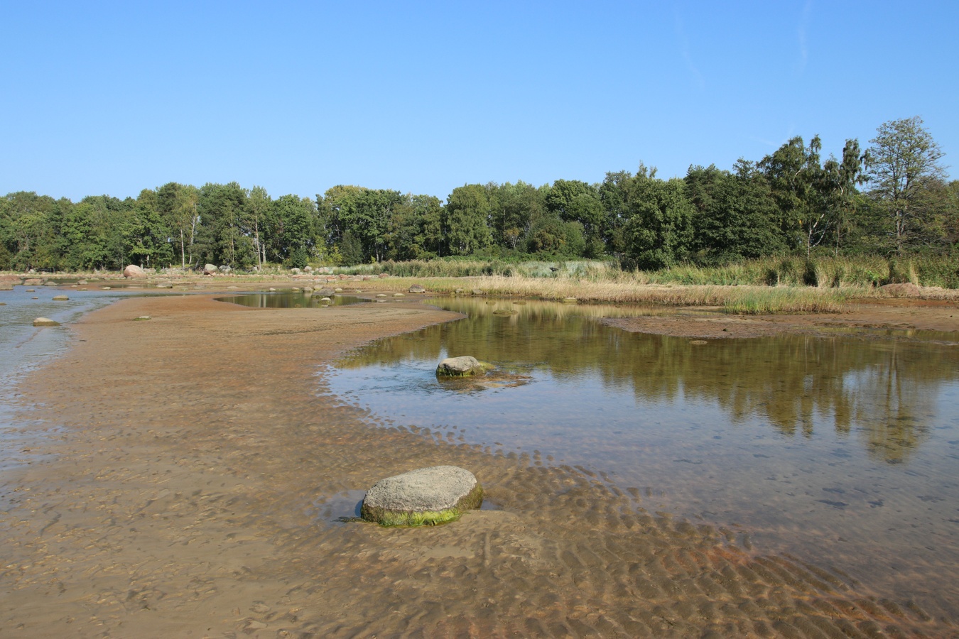 Мыс Дубовский, image of landscape/habitat.