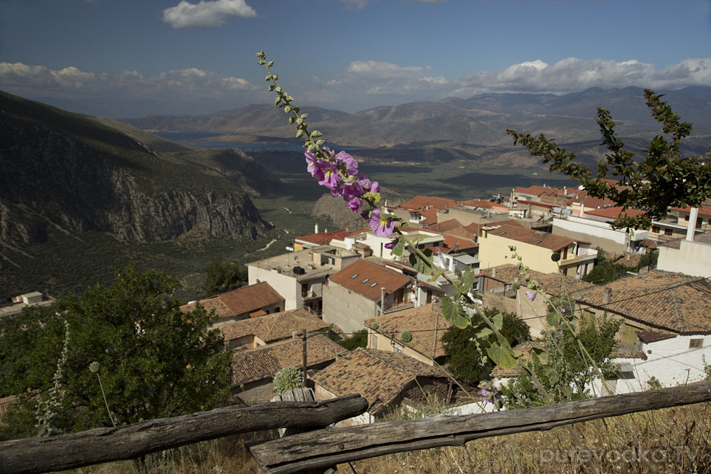 Дельфы, image of landscape/habitat.