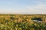 Большой Соловецкий остров, image of landscape/habitat.