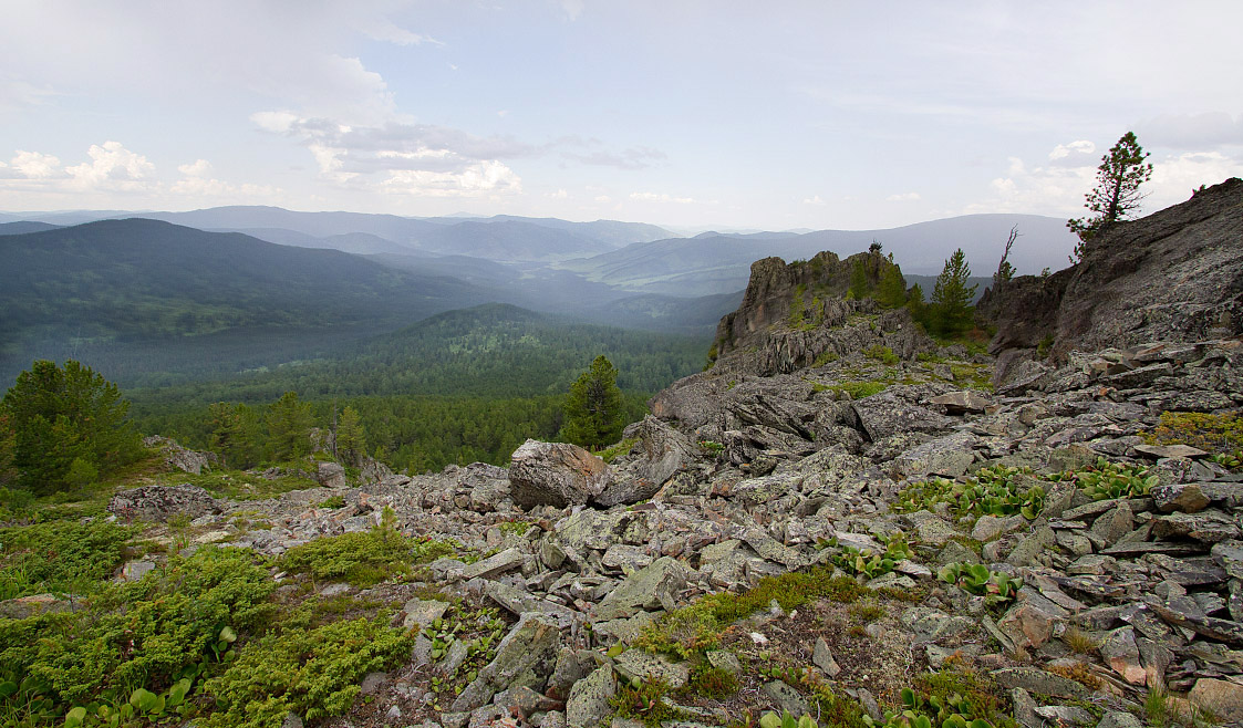 Семинский перевал, image of landscape/habitat.