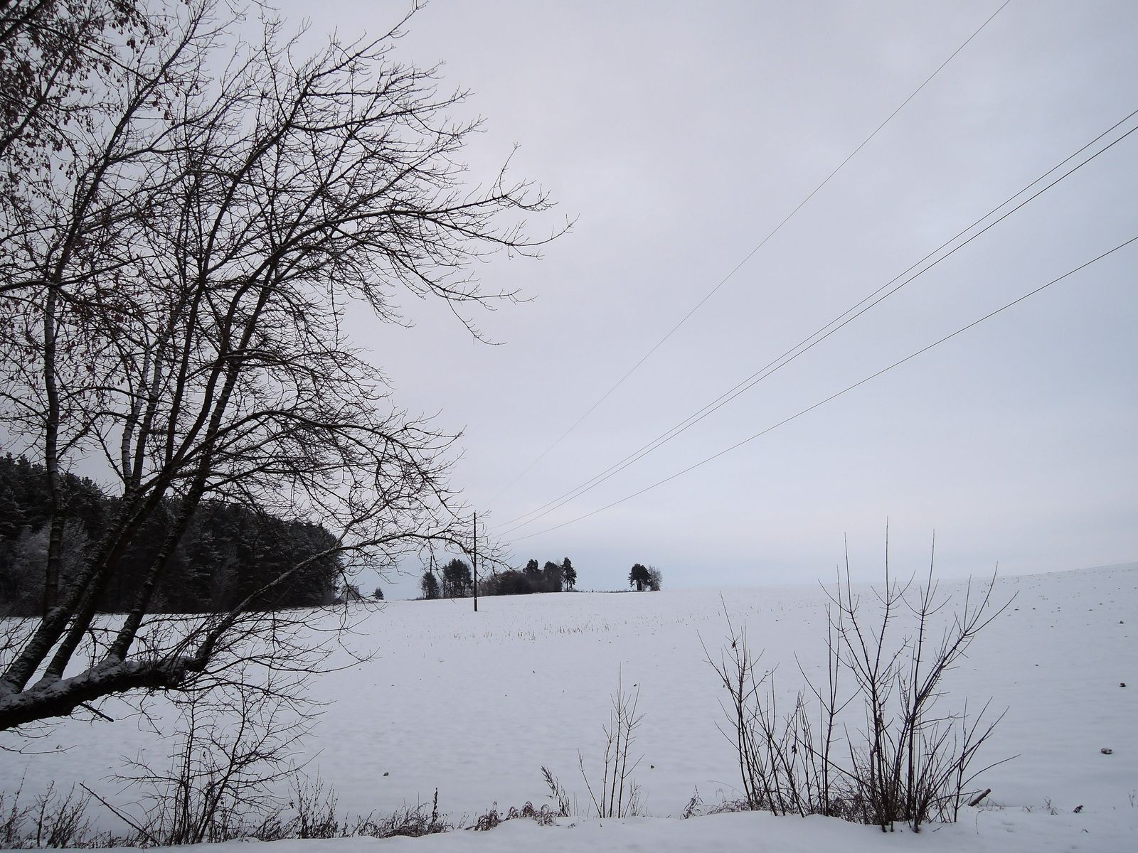 Гродно, image of landscape/habitat.