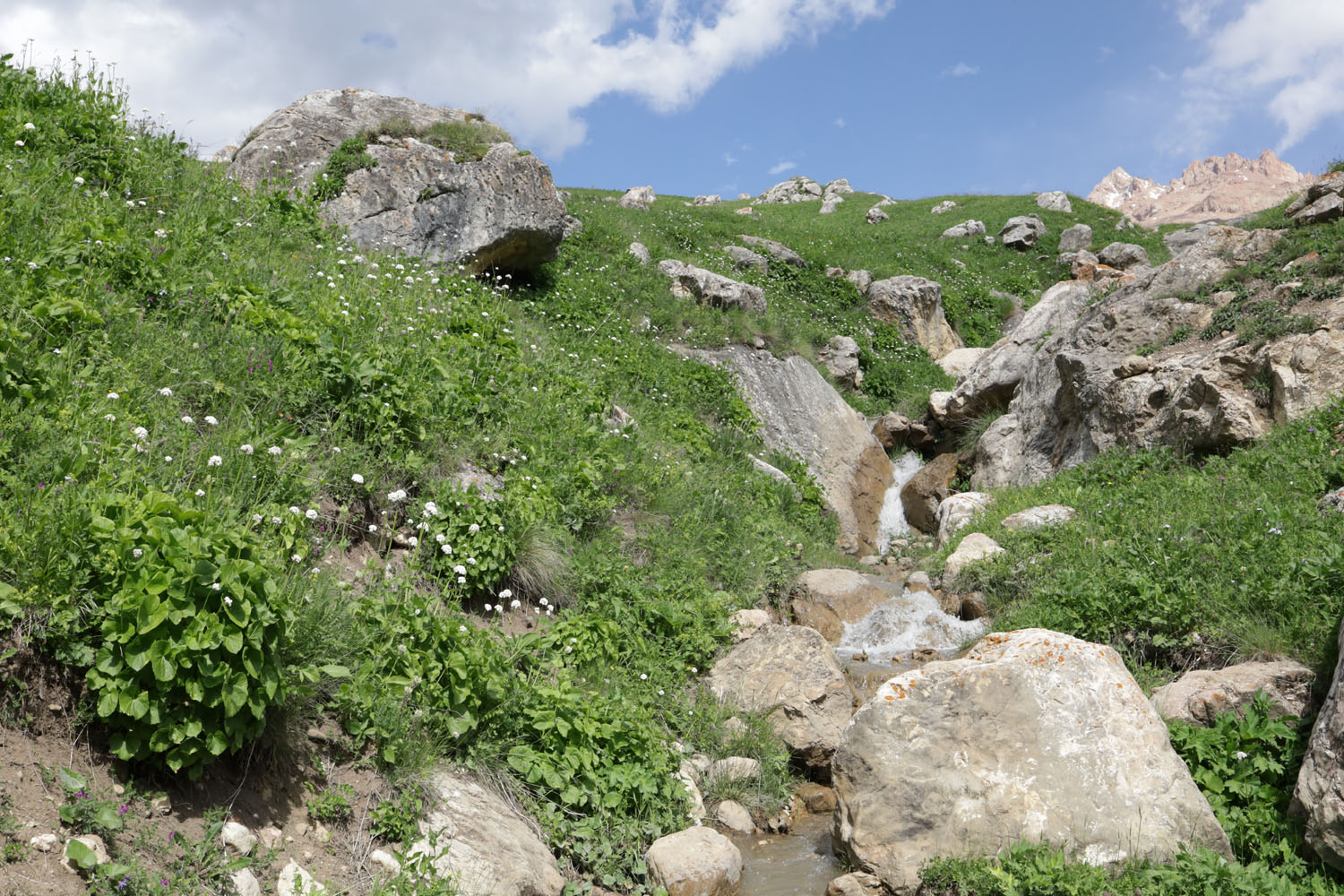 Куруш, image of landscape/habitat.