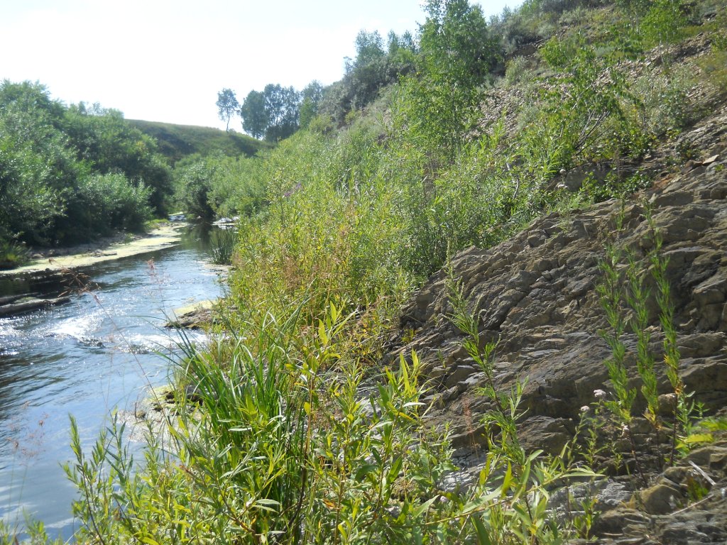 Долина реки Шипунихи, image of landscape/habitat.