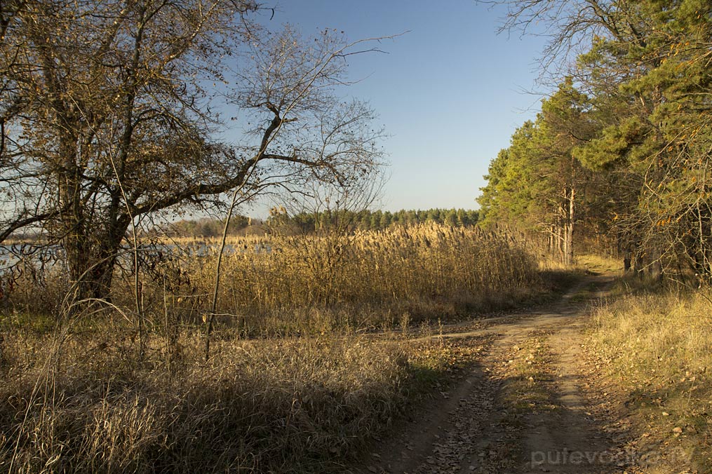 Гулькевичи и окрестности, image of landscape/habitat.