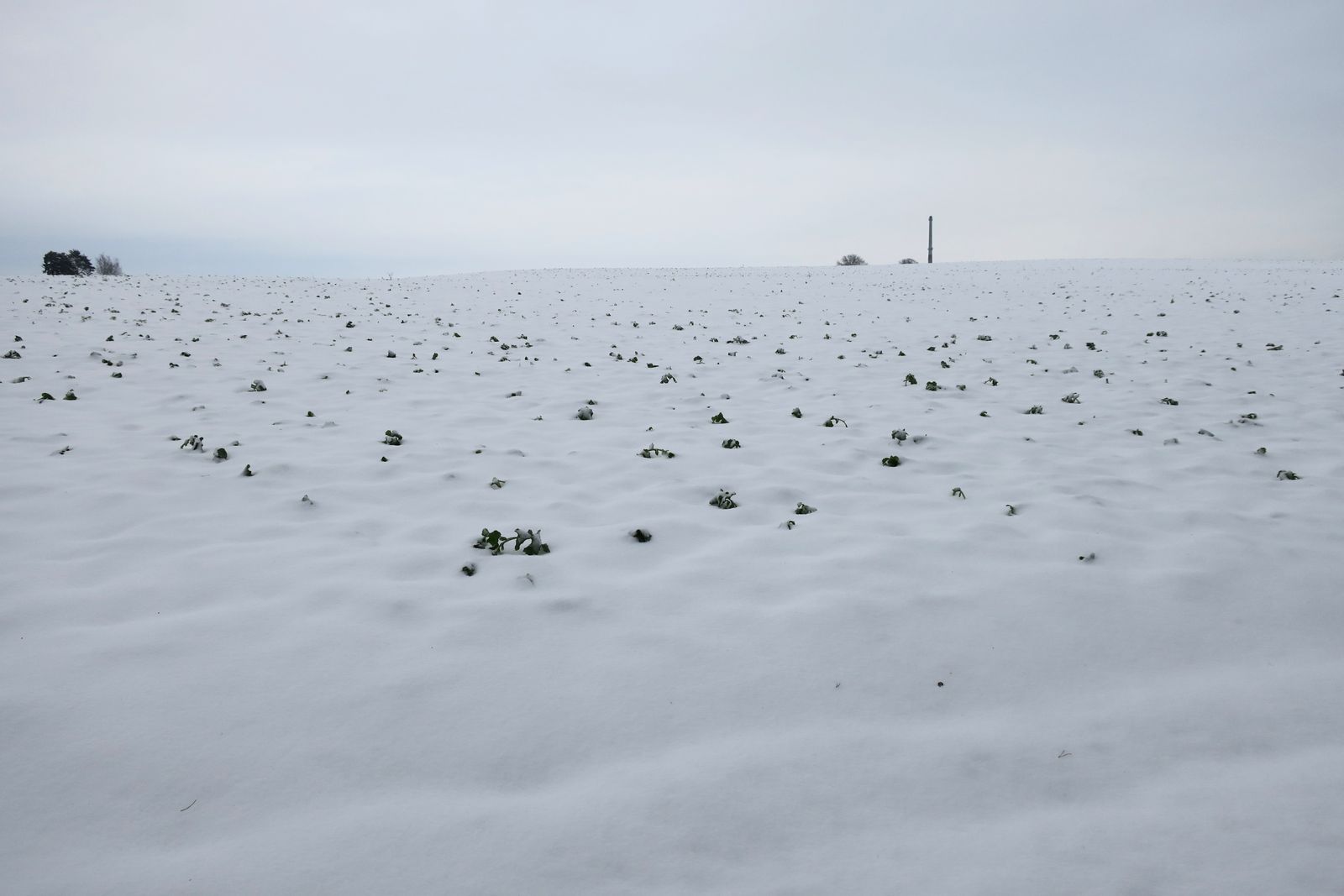 Гродно, image of landscape/habitat.