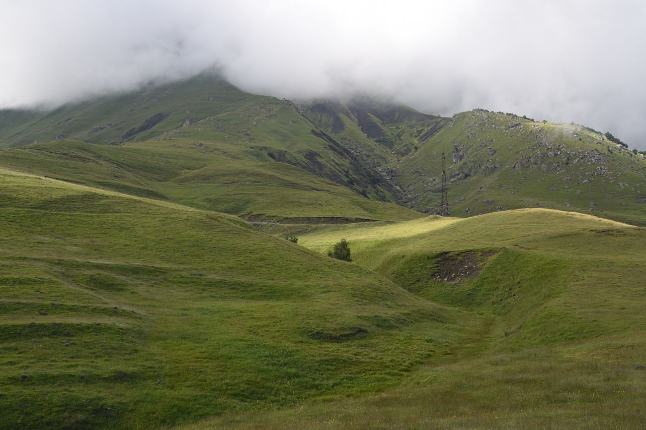 Урочище Кязи и окрестности, image of landscape/habitat.