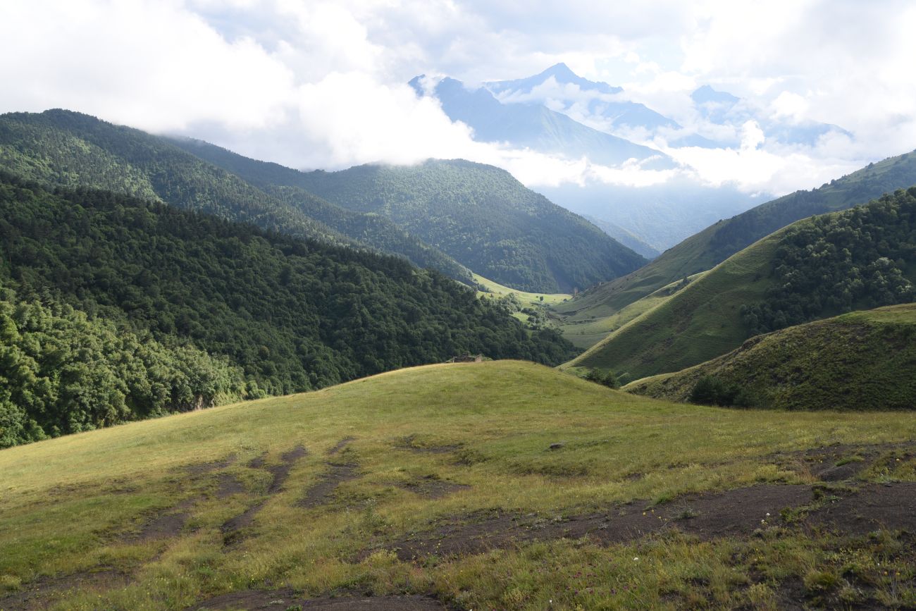 Урочище Кязи и окрестности, image of landscape/habitat.