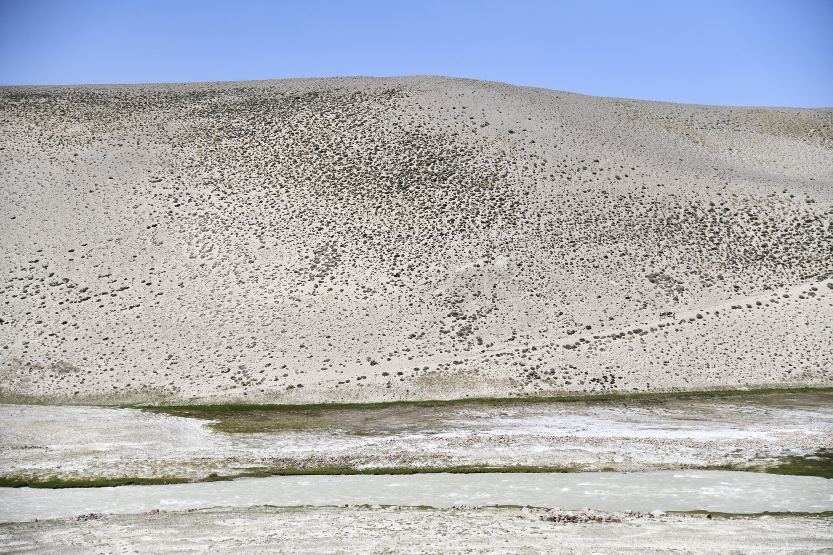 Памир, image of landscape/habitat.