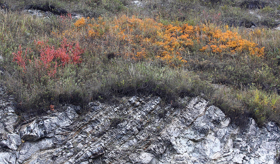 Порт Байкал, image of landscape/habitat.