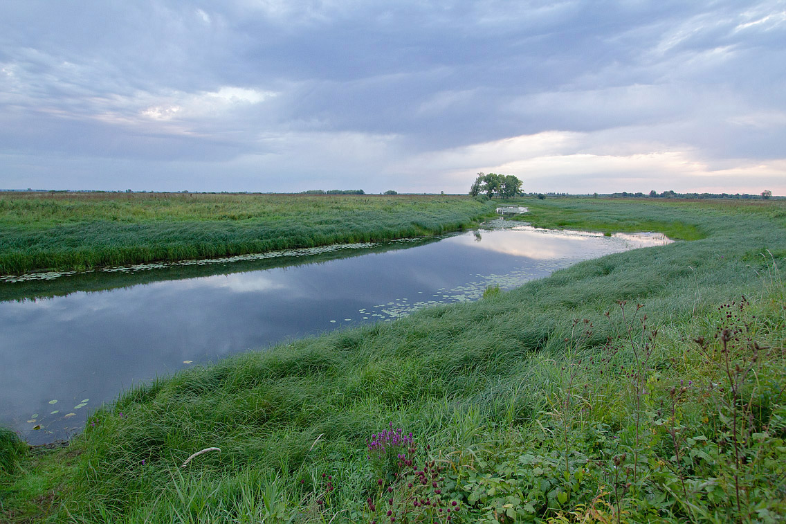 Окрестности Барнаула, image of landscape/habitat.