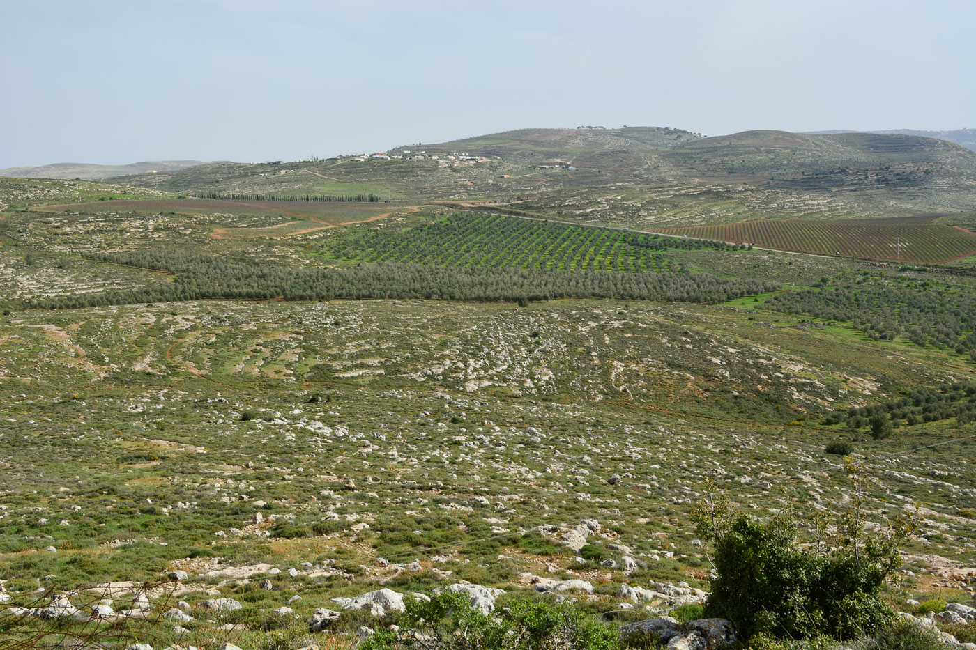 Самария, image of landscape/habitat.