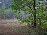 Image of landscape