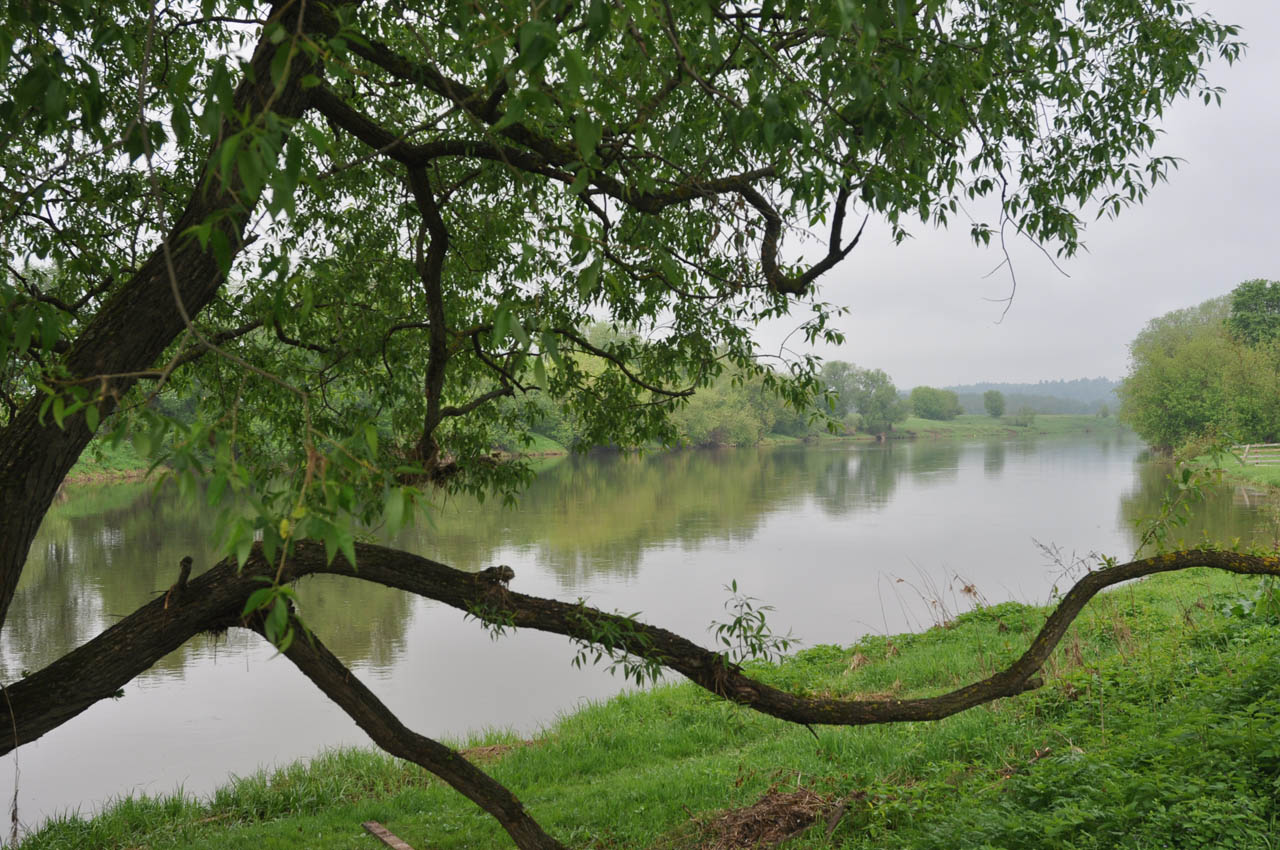 река в звенигороде