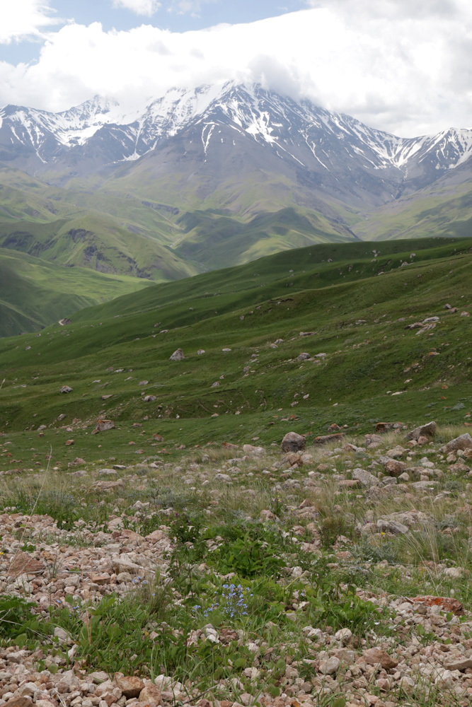 Куруш, image of landscape/habitat.