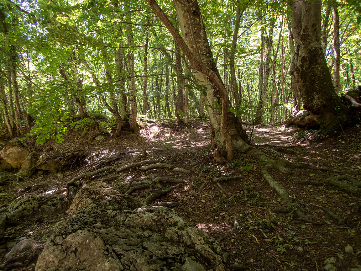 Большой каньон Крыма, image of landscape/habitat.