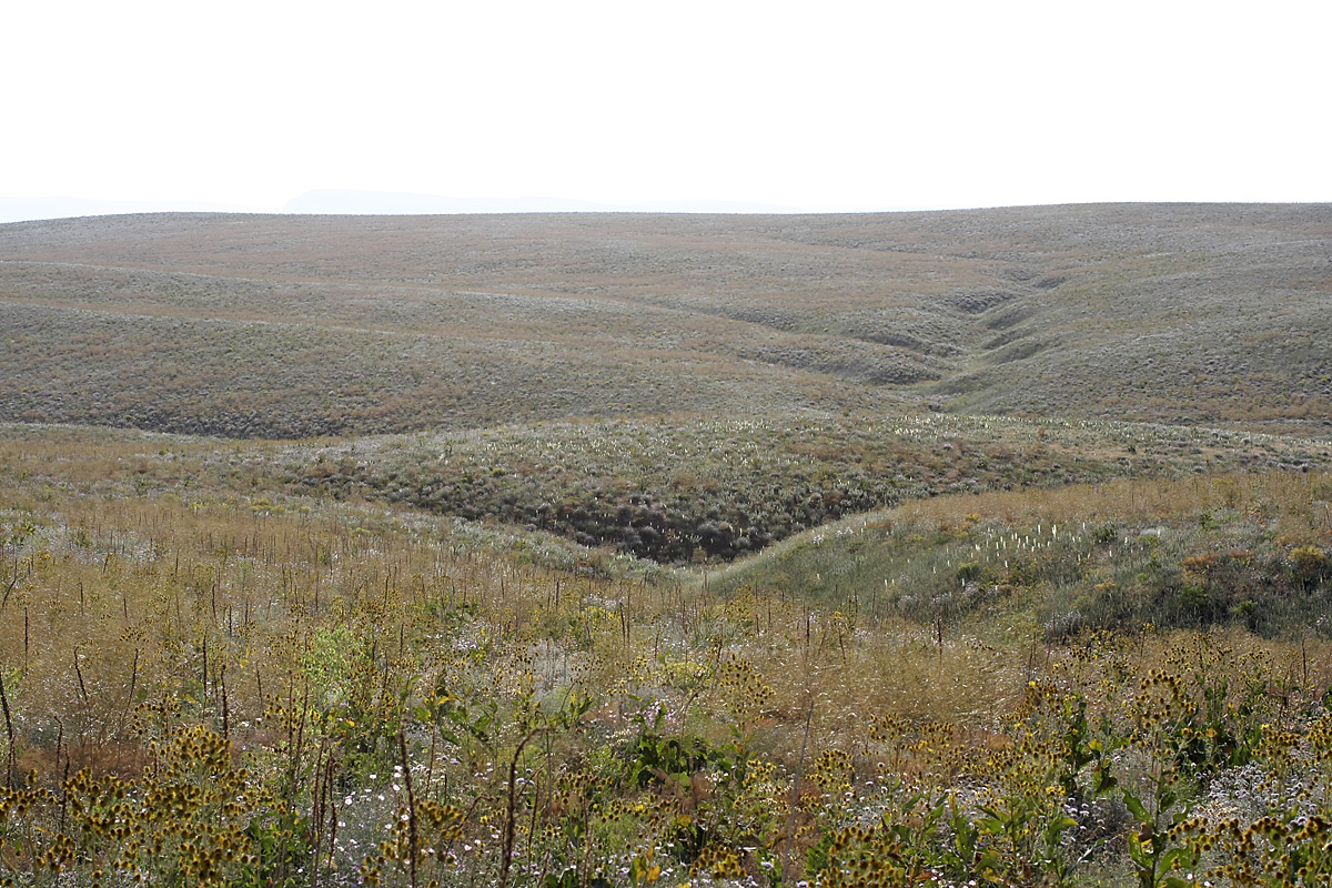 Лощина Акжар, image of landscape/habitat.