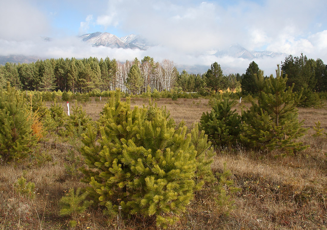 Хурай-Хобок, image of landscape/habitat.