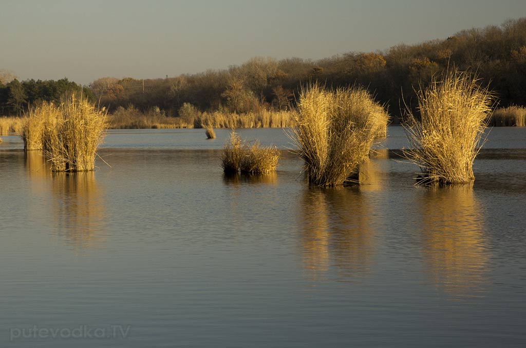 Гулькевичи и окрестности, image of landscape/habitat.