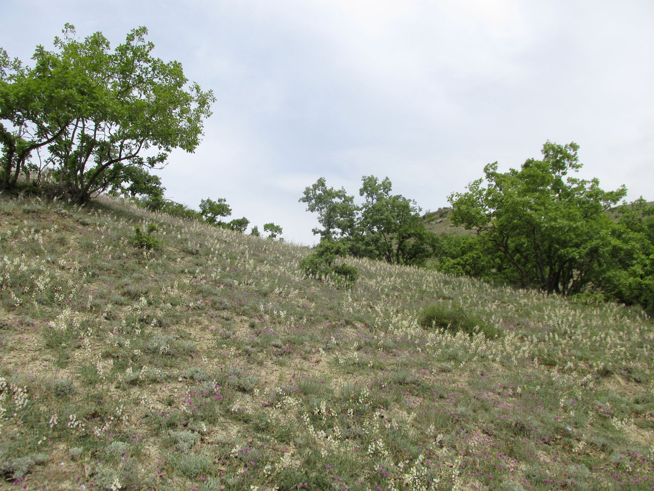 Гелинбатан, image of landscape/habitat.