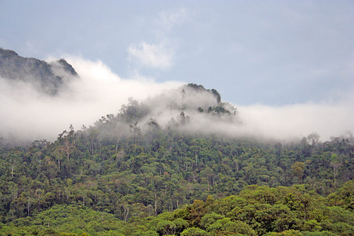 Лонг Мурум, image of landscape/habitat.