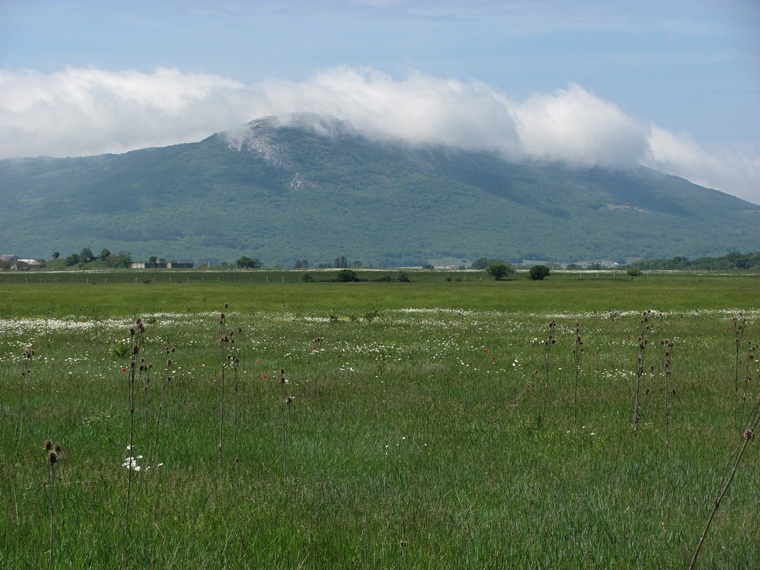 Байдарская долина, image of landscape/habitat.