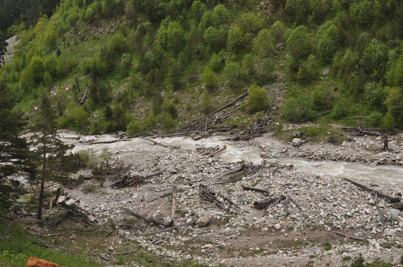 Долина реки Ирик, image of landscape/habitat.