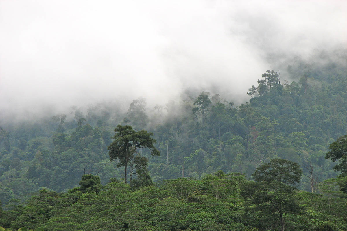 Лонг Мурум, image of landscape/habitat.