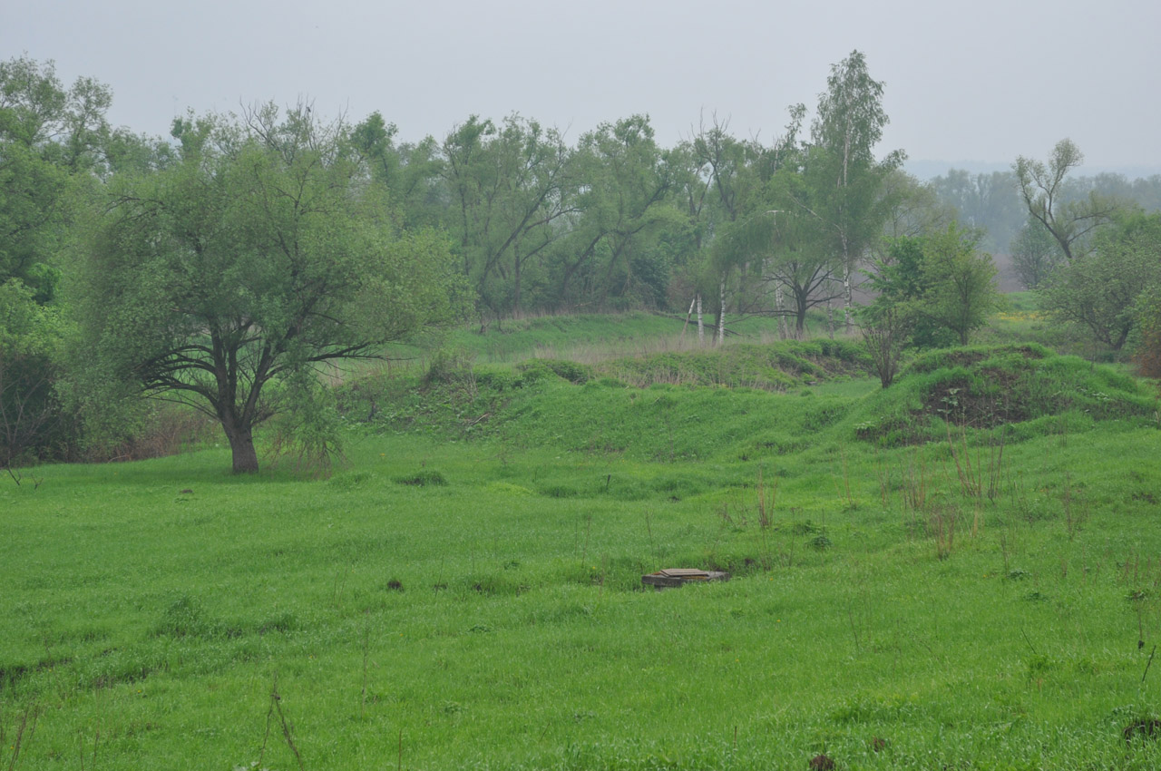 Окрестности города Звенигород, image of landscape/habitat.