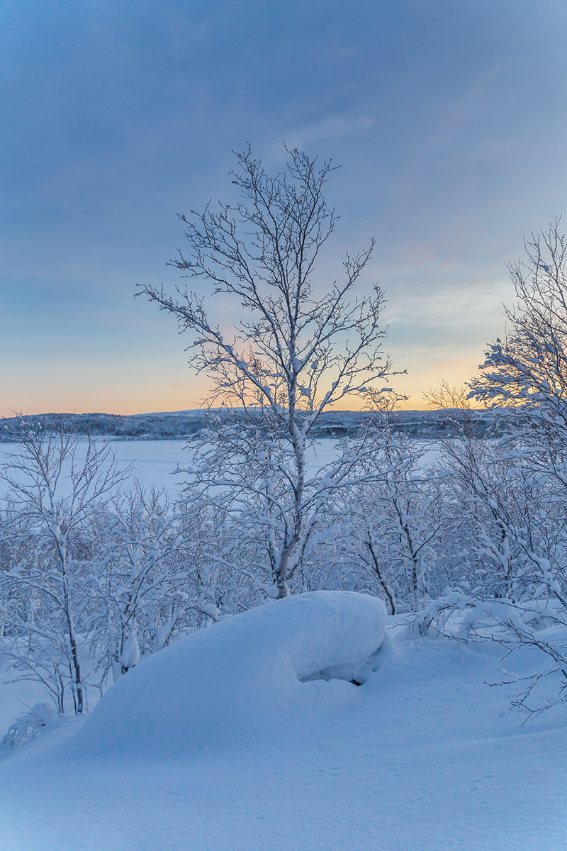 Мурманск, image of landscape/habitat.