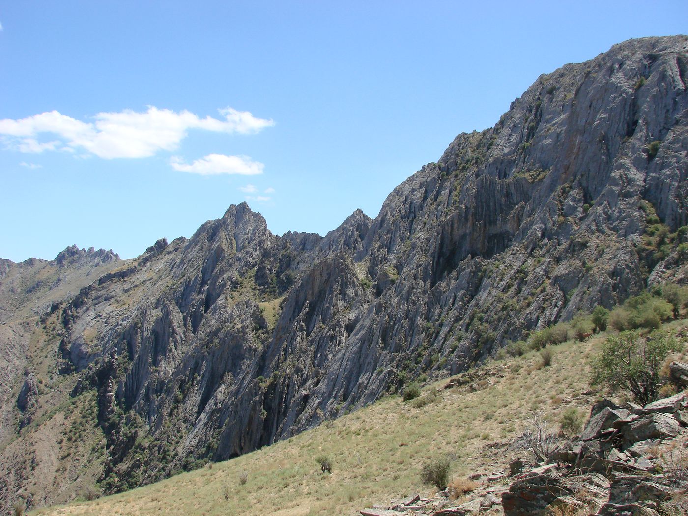 Гора Паррандас, image of landscape/habitat.