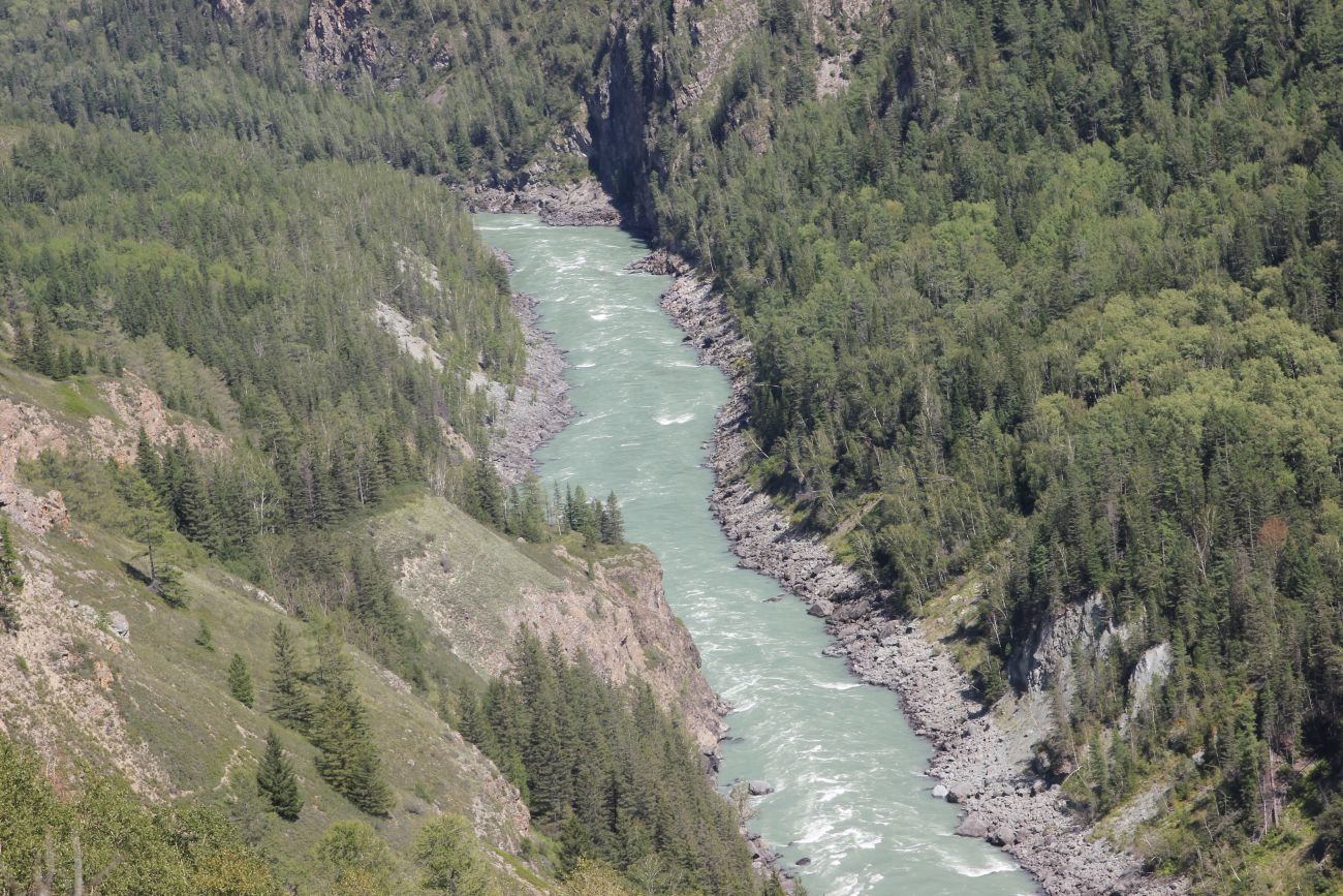 Окрестности ручья Чеба, image of landscape/habitat.