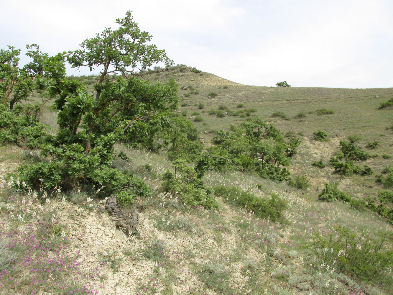 Гелинбатан, image of landscape/habitat.