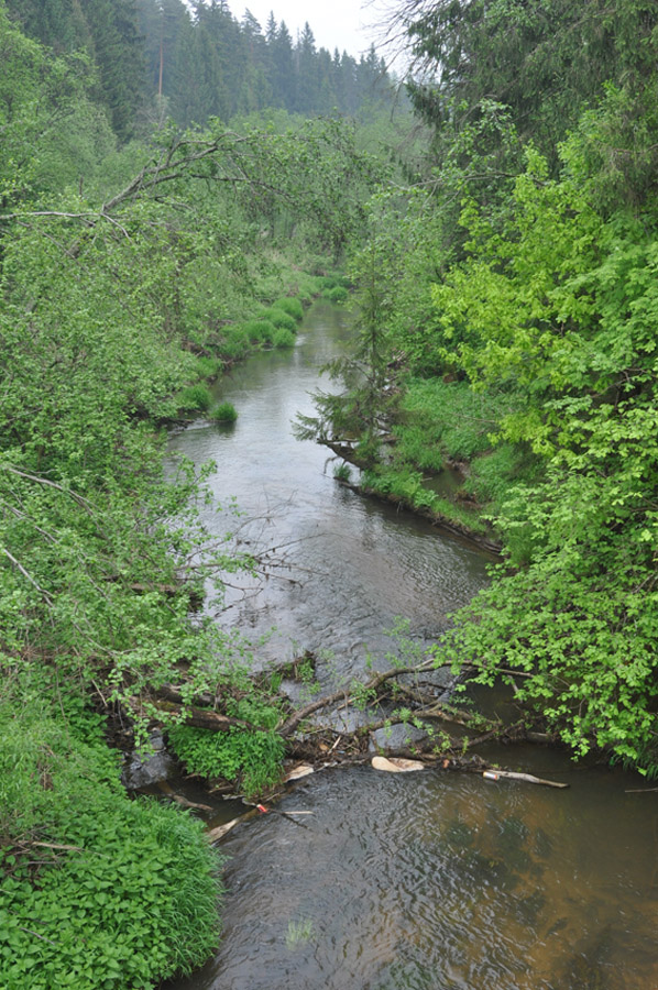 Окрестности города Звенигород, image of landscape/habitat.