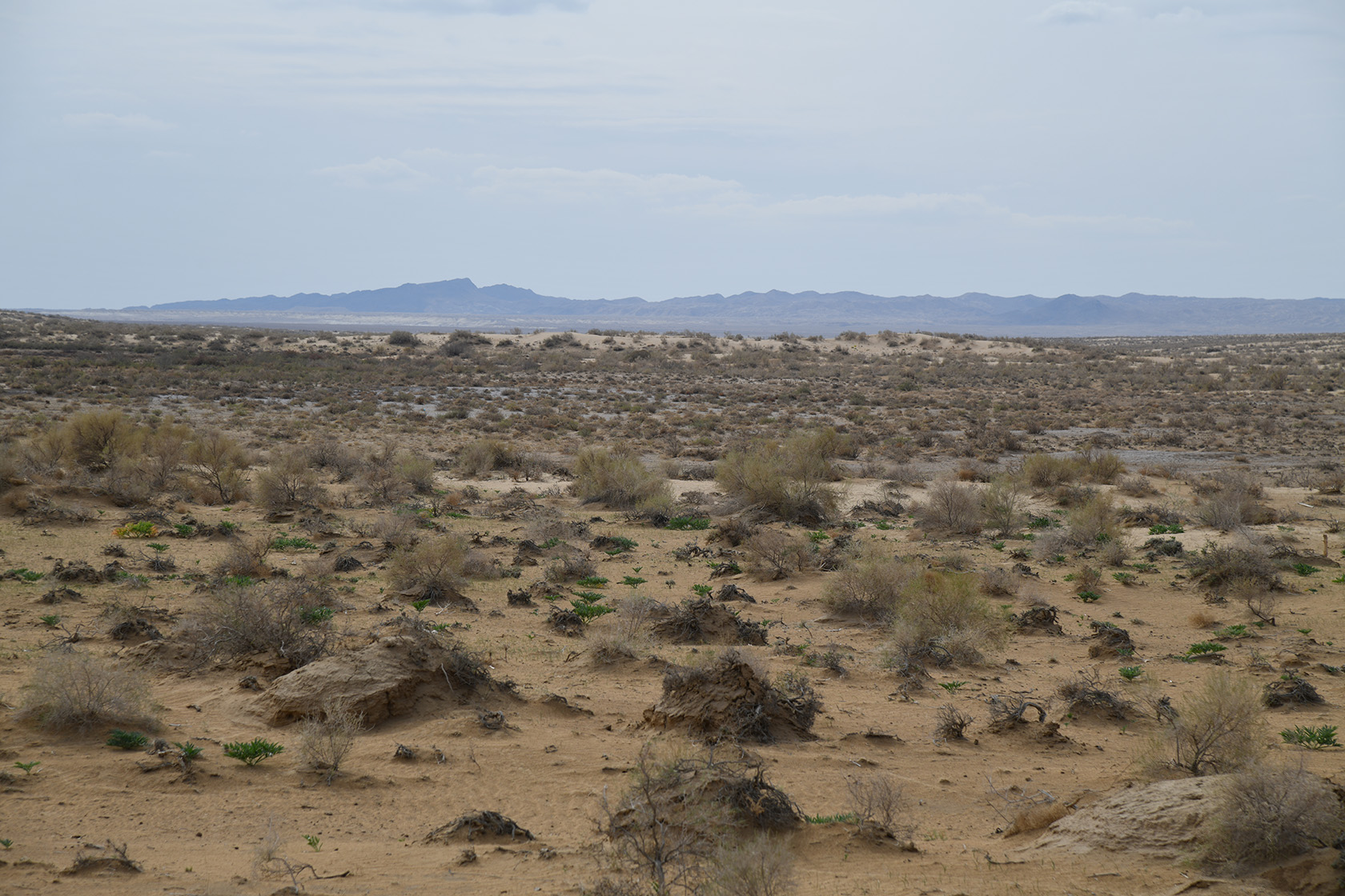 Аяз-Кала, image of landscape/habitat.